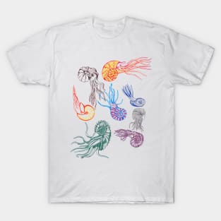 Ammonites T-Shirt